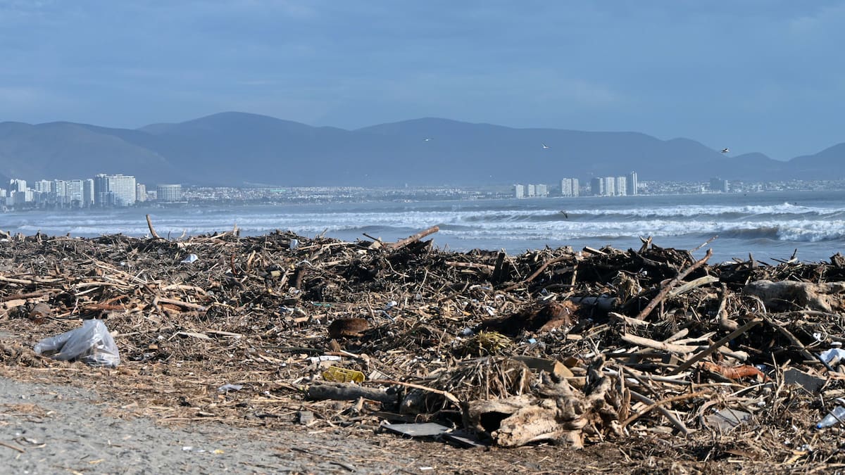 Desaparición casi total de la playa Socos: el balneario de Tongoy que quedó sin gran parte de su arena