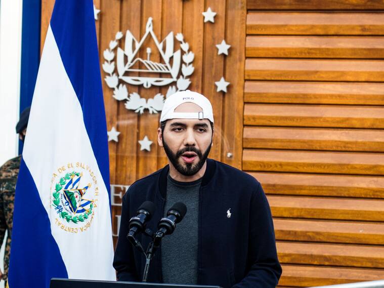 El mandatario salvadoreño Nayib Bukele