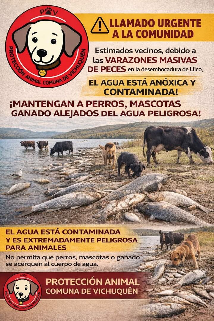 Alarma ambiental en Vichuquén