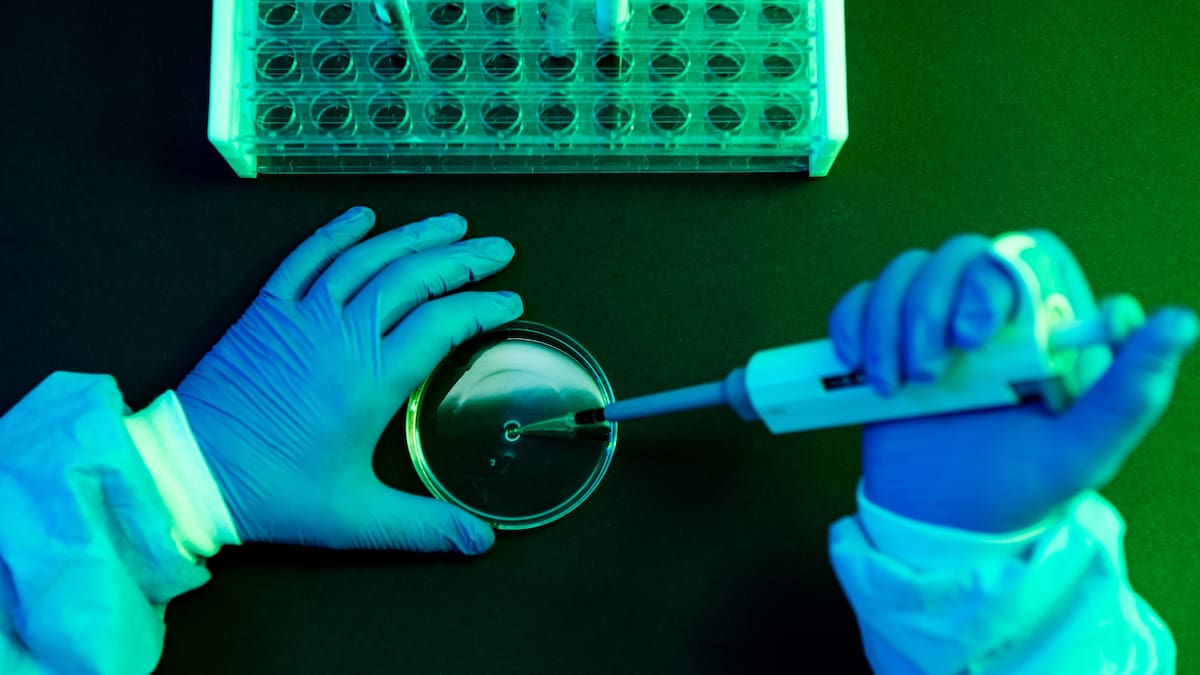 Estudio revela que 10 servicios de salud concentran el 62% del financiamiento público para tratar el cáncer en Chile