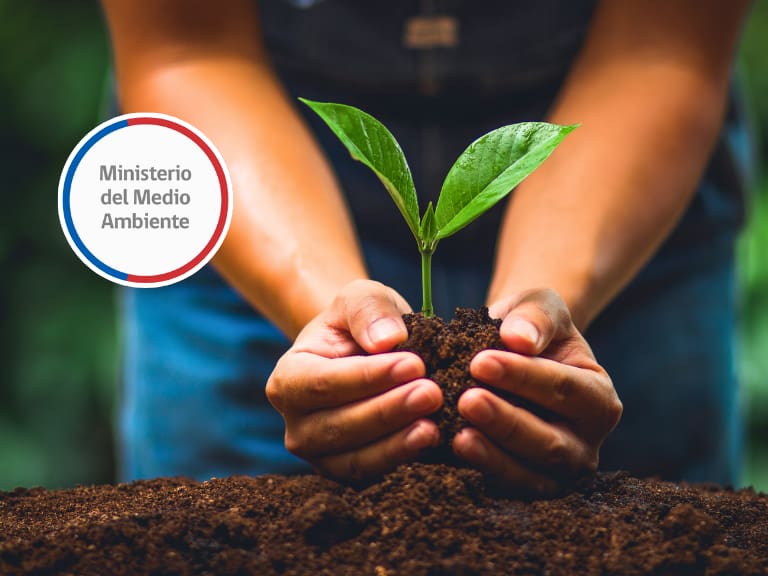 Sueldos pueden superar los $3 millones: Ministerio del Medio Ambiente busca trabajadores y así puedes postular