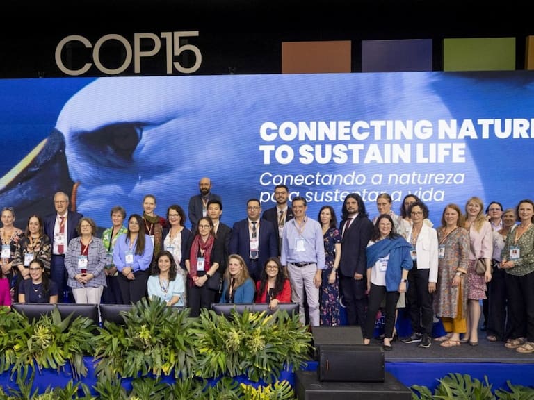 Inédito logro ambiental: Chile lidera protección extrema de la ONU para importantes especies de aves