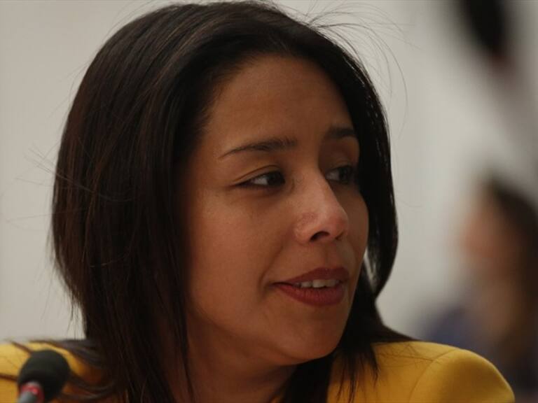 Corte de Apelaciones acogió a trámite solicitud de desafuero contra diputada Leuquén