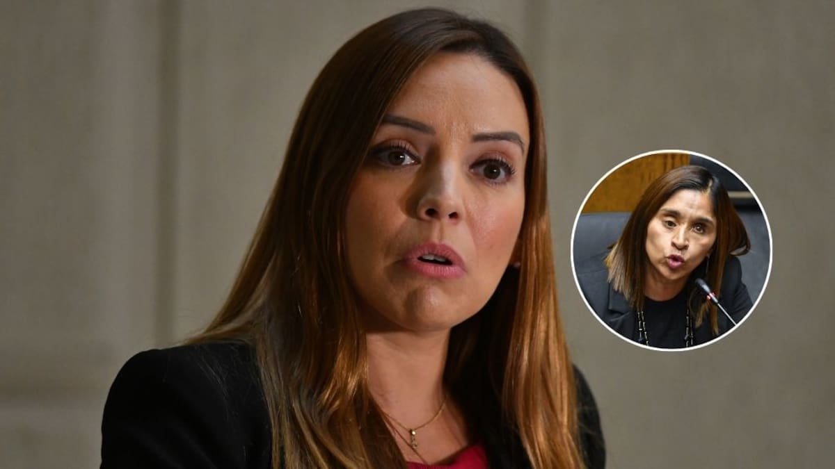 “Inaceptable”: feriantes rechazan dichos de Camila Flores tras tratar de “señora de feria” a Fabiola Campillai