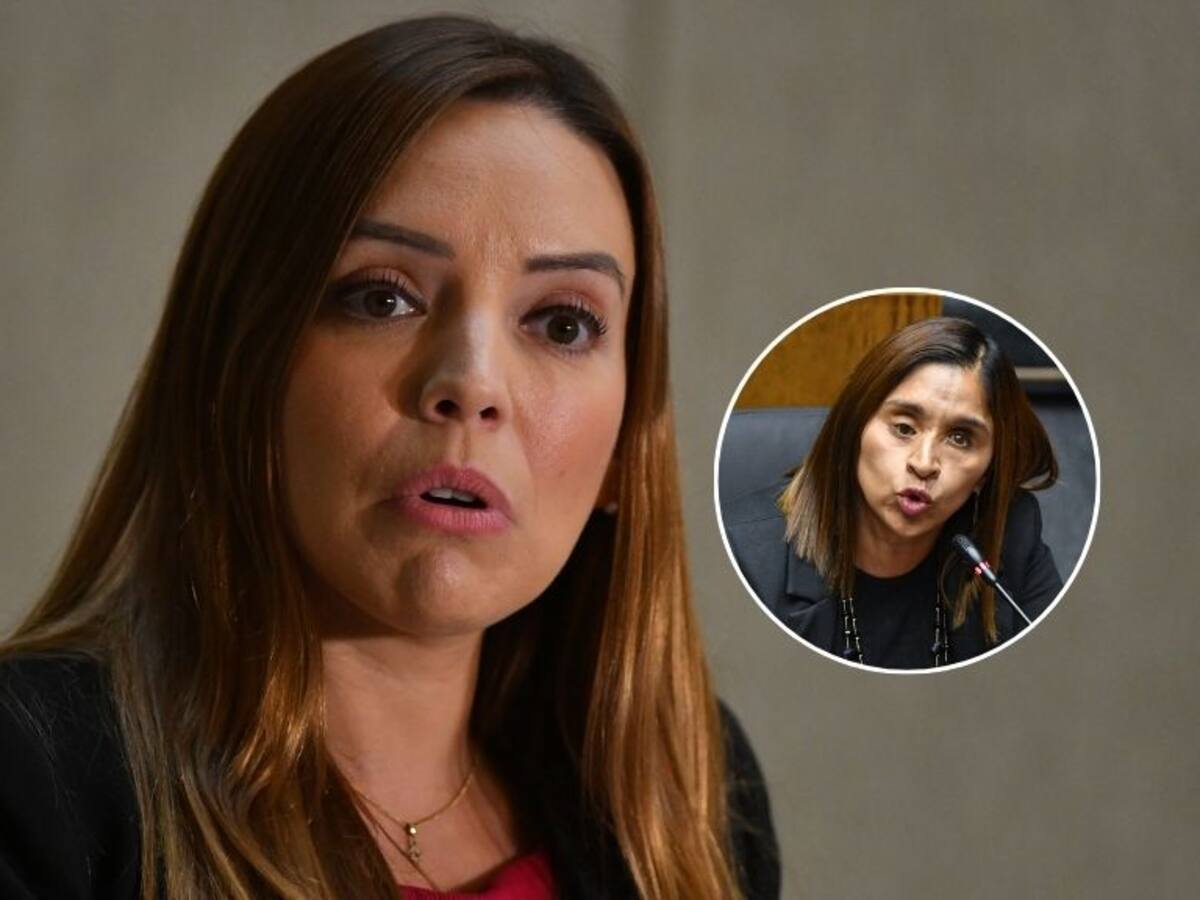 “Inaceptable”: feriantes rechazan dichos de Camila Flores tras tratar de “señora de feria” a Fabiola Campillai