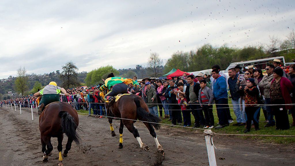 As part of the celebration of the Feast traditional homeland of Chile 'Chilean races' consisting of speed competitions between two horses in a natural terrain they were run, in Osorno, Chile on 19 September 2016. (Photo by Fernando Lavoz/NurPhoto via Getty Images)