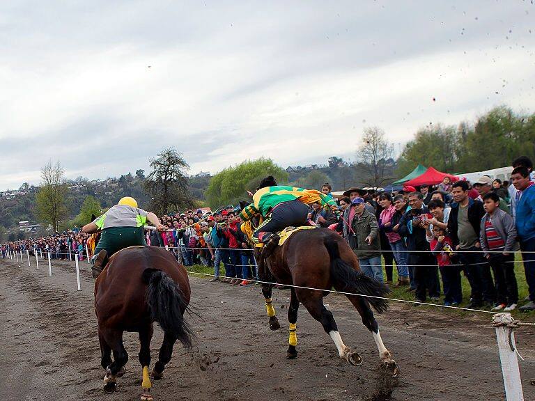 As part of the celebration of the Feast traditional homeland of Chile &#039;Chilean races&#039; consisting of speed competitions between two horses in a natural terrain they were run, in Osorno, Chile on 19 September 2016. (Photo by Fernando Lavoz/NurPhoto via Getty Images)
