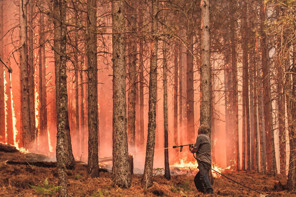 Un incendio consume un bosque de un parque nacional en Calabria