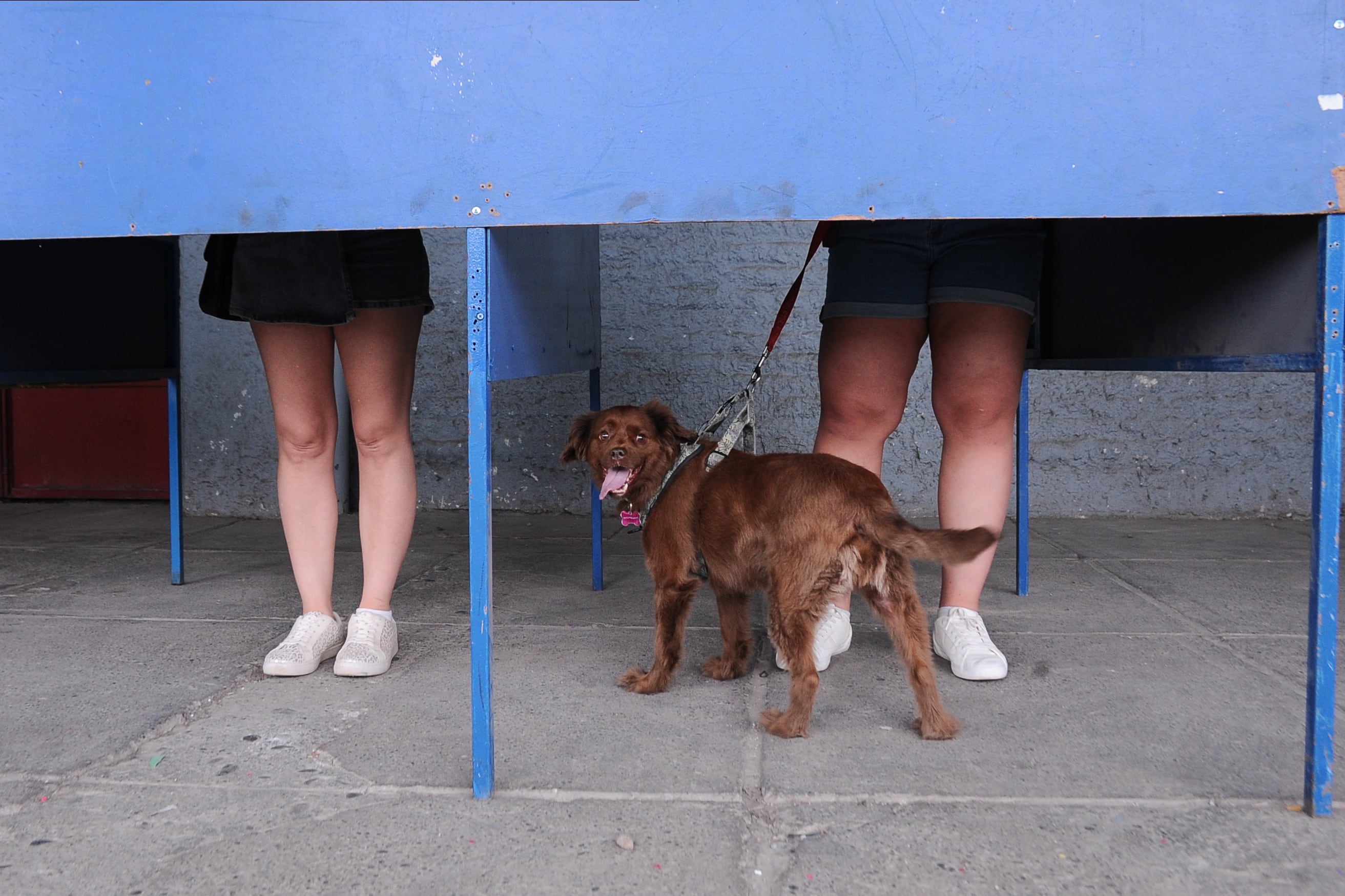 16 DE NOVIEMBRE DEL 2025 / SANTIAGO Votantes llegan con sus mascotas al Estadio Nacional, en la comuna de Ñuñoa, para participar en las elecciones presidenciales y parlamentarias de 2025.FOTO: VICTOR HUENANTE  / AGENCIAUNO