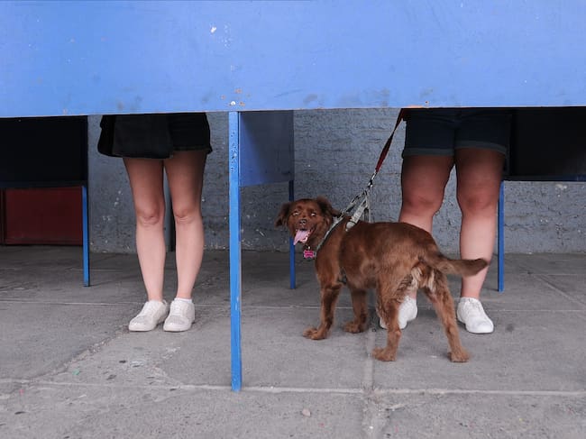 16 DE NOVIEMBRE DEL 2025 / SANTIAGO
Votantes llegan con sus mascotas al Estadio Nacional, en la comuna de Ñuñoa, para participar en las elecciones presidenciales y parlamentarias de 2025.
FOTO: VICTOR HUENANTE / AGENCIAUNO