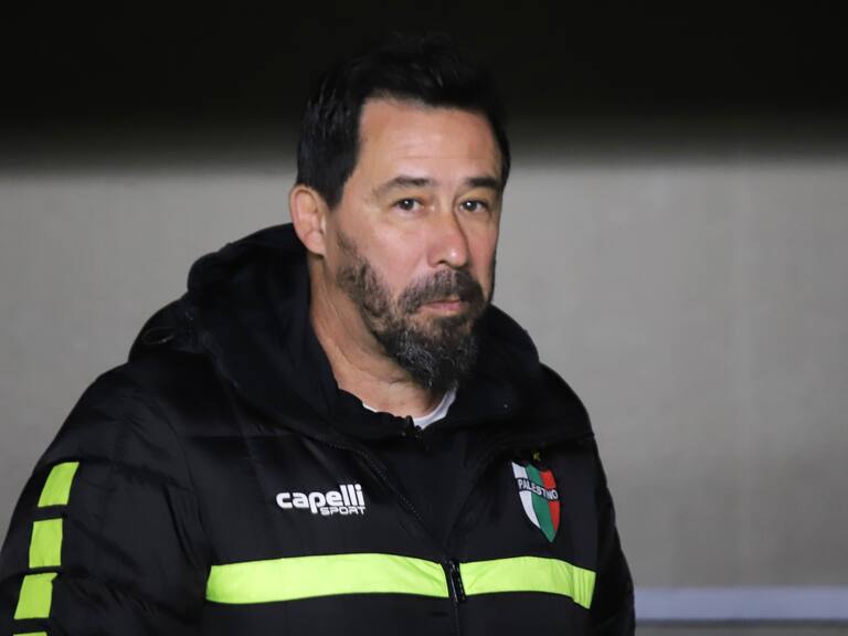 Pablo "Vitamina" Sánchez, entrenador de Palestino | Agencia Uno