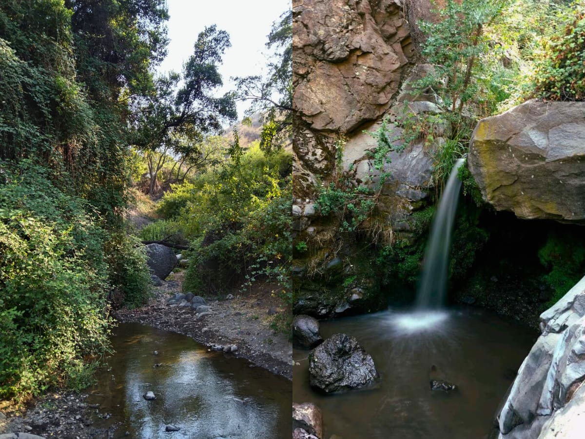 Con cascada, estero y animales: el desconocido pulmón verde precordillerano que hay que visitar en Santiago durante el verano