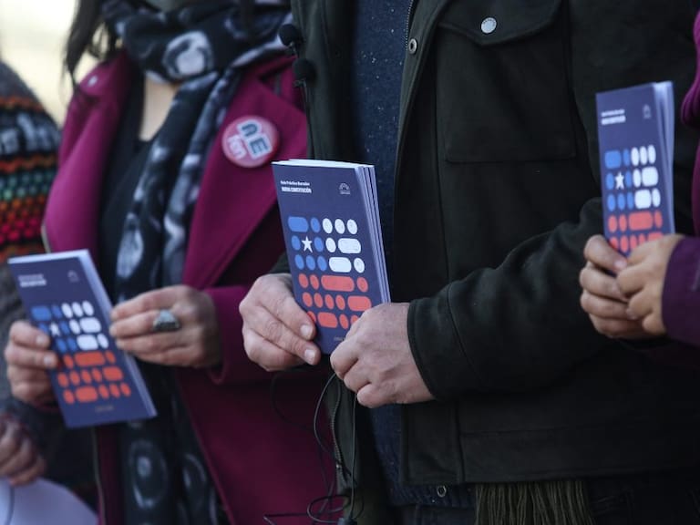 Experto en campañas políticas analiza el periodo de propaganda del plebiscito de nueva Constitución