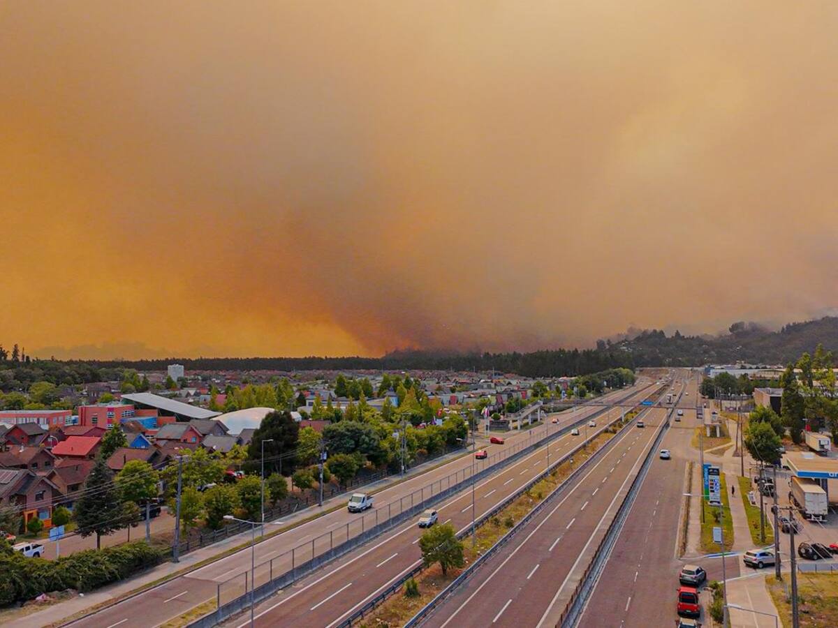 Gerente de la Asociación de Contratistas Forestales: “Los bosques no se queman solos, siempre hay una acción de alguien”
