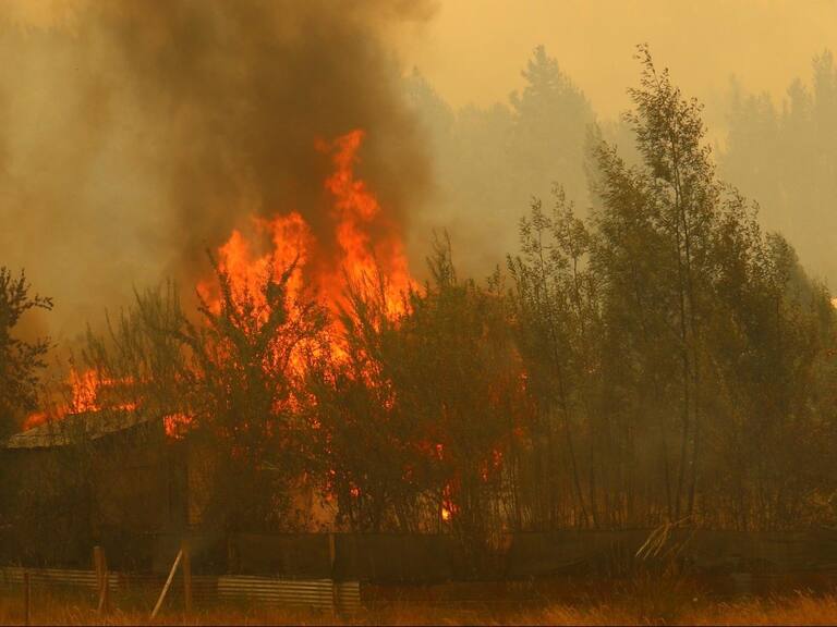 Incendios forestales dejan casi 3 mil personas damnificadas