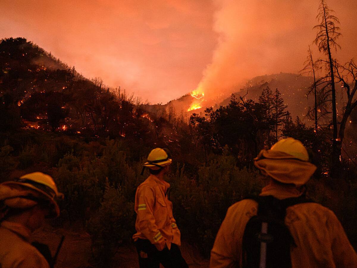 Dos bomberos que controlaban gigantesco incendio en Washington fueron detenidos por la policía migratoria