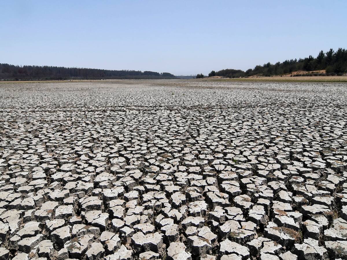 Experto y crisis hídrica: «Ya no es una mega sequía, es un nuevo clima»