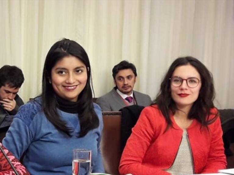Camila Rojas: Con un Mineduc ausente hay que elaborar una propuesta de educación no sexista