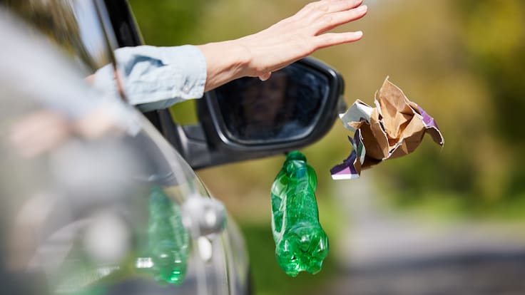 UDI busca sumar 10 nuevas conductas al Registro de Vándalos: estas son las que propone