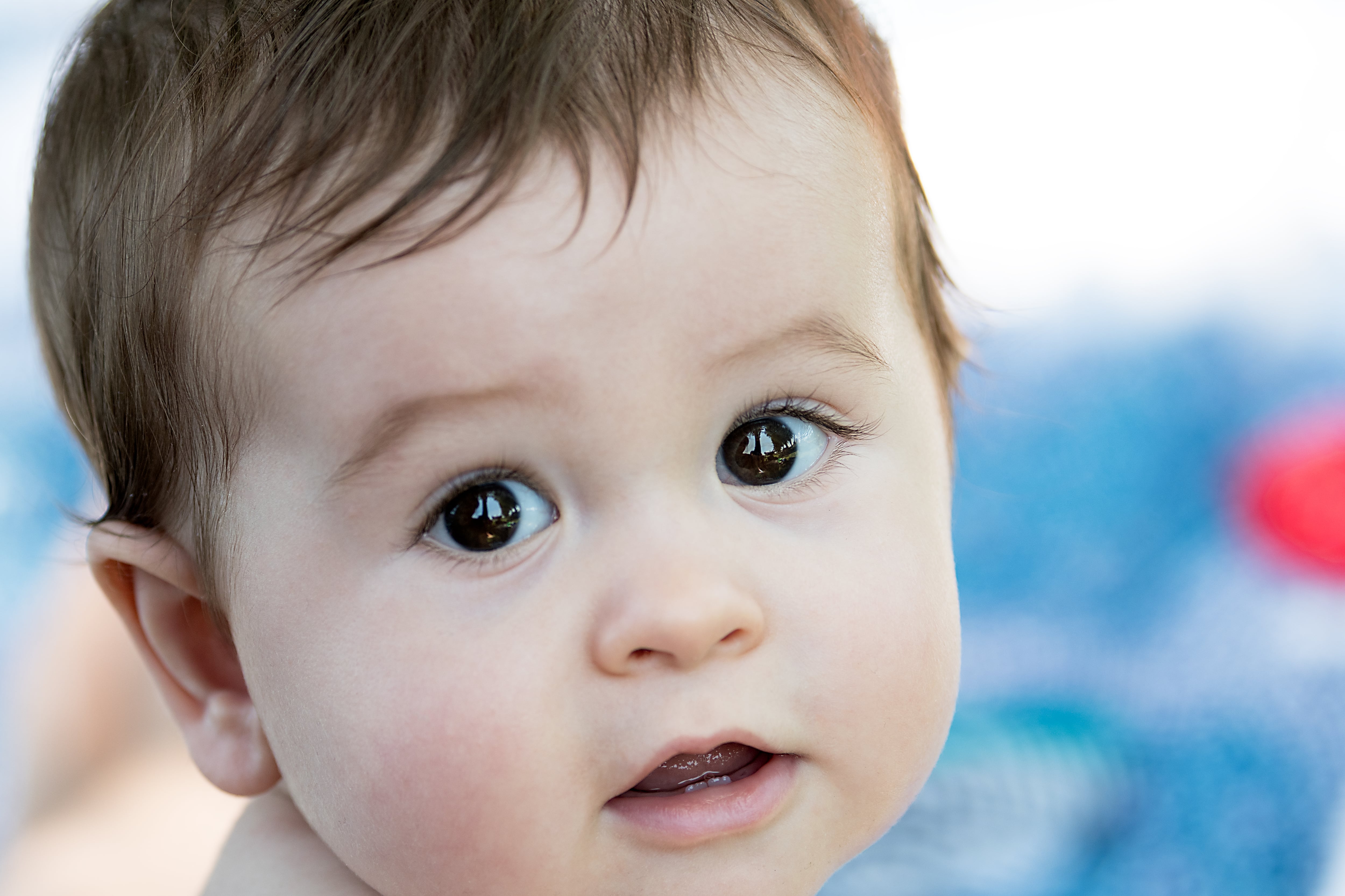 Bebés