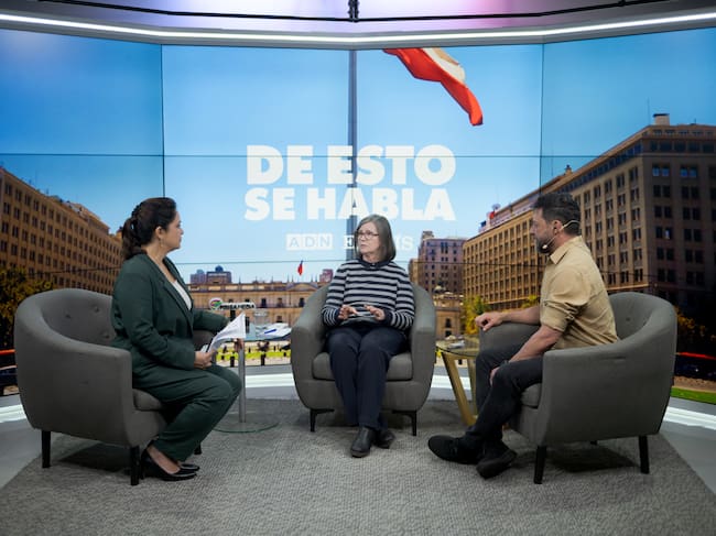 Rocío Montes (El País), Teresa Valdés, Rafael Cavada (ADN)