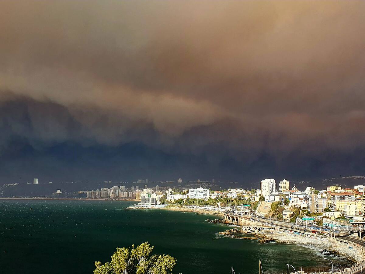 “Es un infierno”: vecino relata la cruel realidad que enfrenta la región de Valparaíso por los incendios forestales