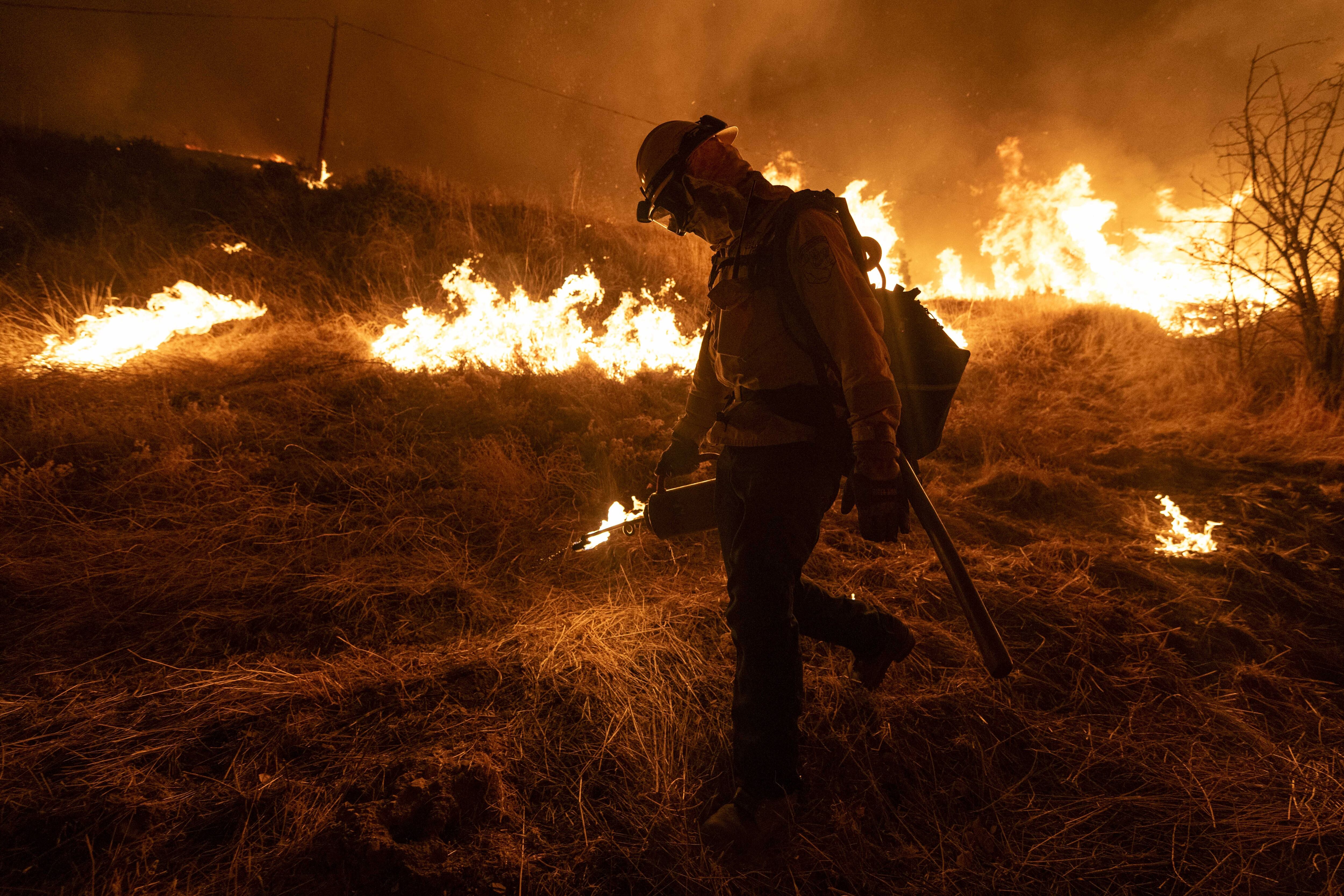 CALIFORNIA, USA - JANUARY 22: