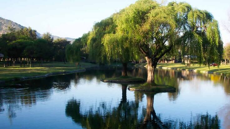 Un paraíso a 1 hora y media de Santiago: estos son los tranquilos manantiales con picnic y camping para visitar en verano