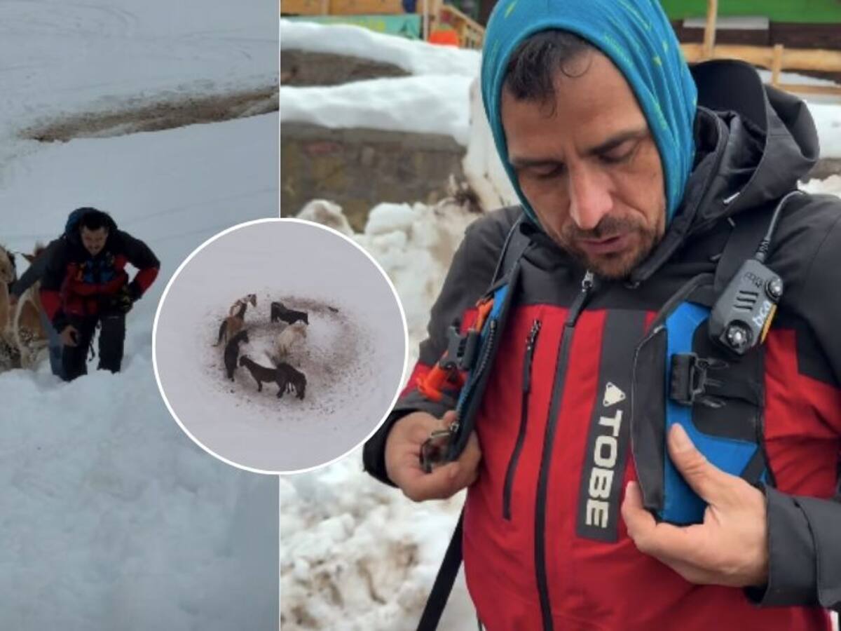 Más de 10 días aislados: el complejo rescate que protagonizó Pangal Andrade en el Cajón del Maipo