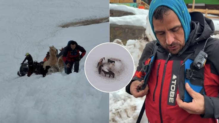 Más de 10 días aislados: el complejo rescate que protagonizó Pangal Andrade en el Cajón del Maipo