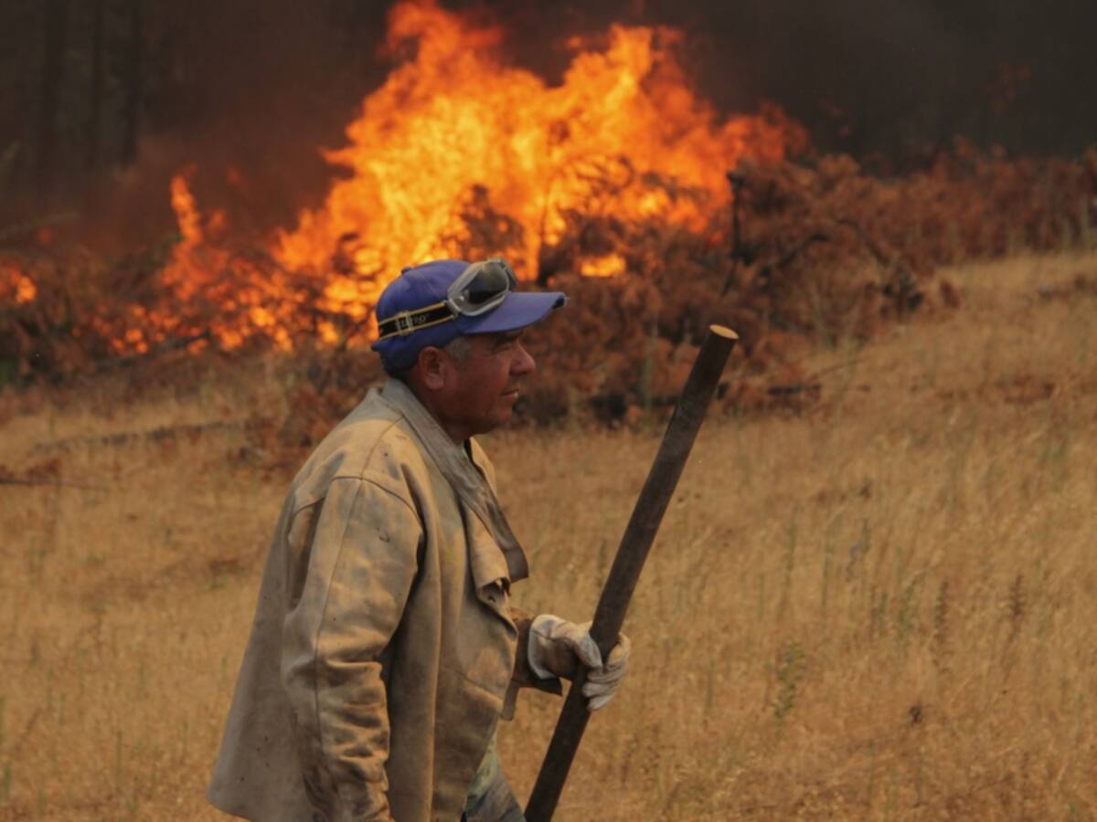 Plan de Recuperación para afectados por incendios forestales: ¿Cuáles son las medias y qué incluyen?