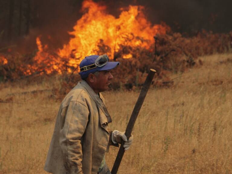 Plan de Recuperación para afectados por incendios forestales: ¿Cuáles son las medias y qué incluyen?