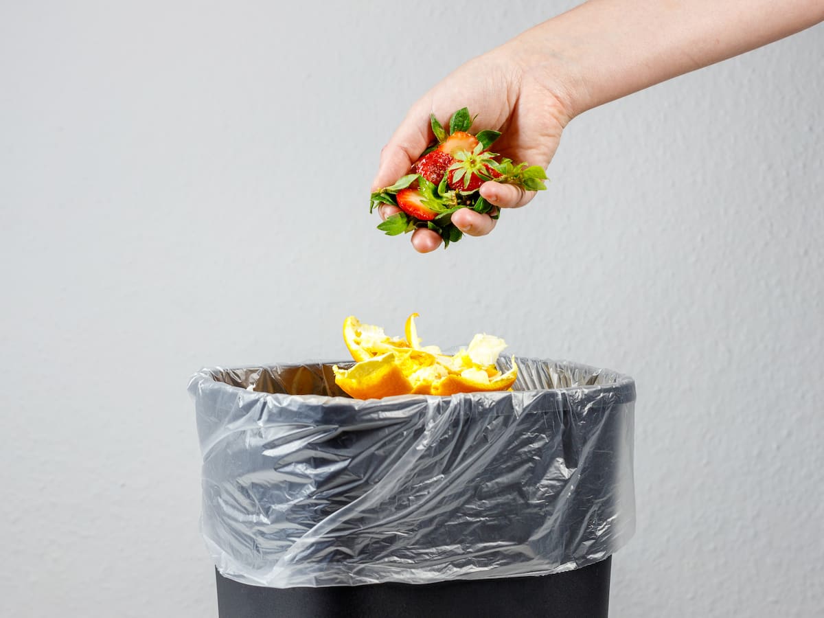48% de las personas desperdicia más comida en verano: ¿Cómo aprovechar mejor los alimentos?
