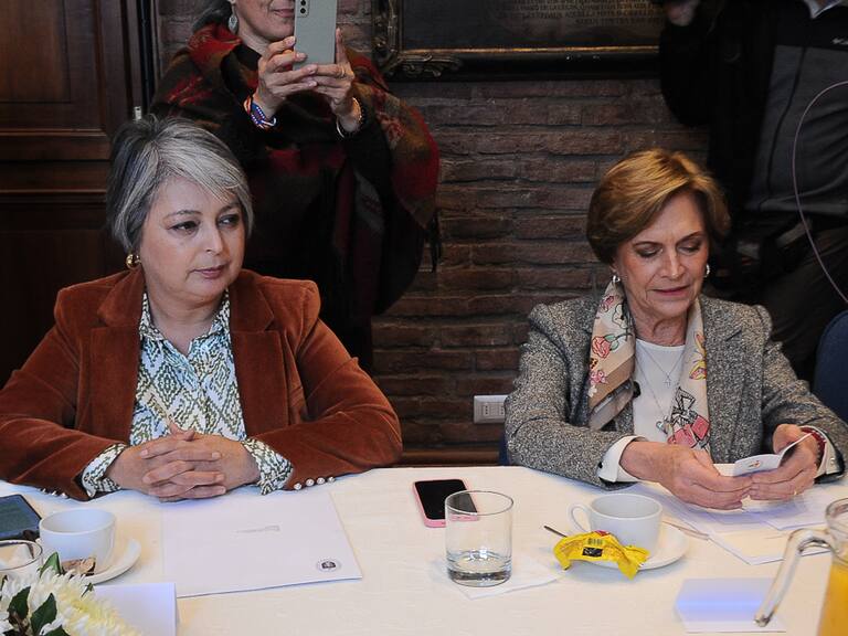 Jara critica a Matthei por ofrecerse al Gobierno ante amenaza arancelaria: “Mi sugerencia es que se concentre en su campaña”