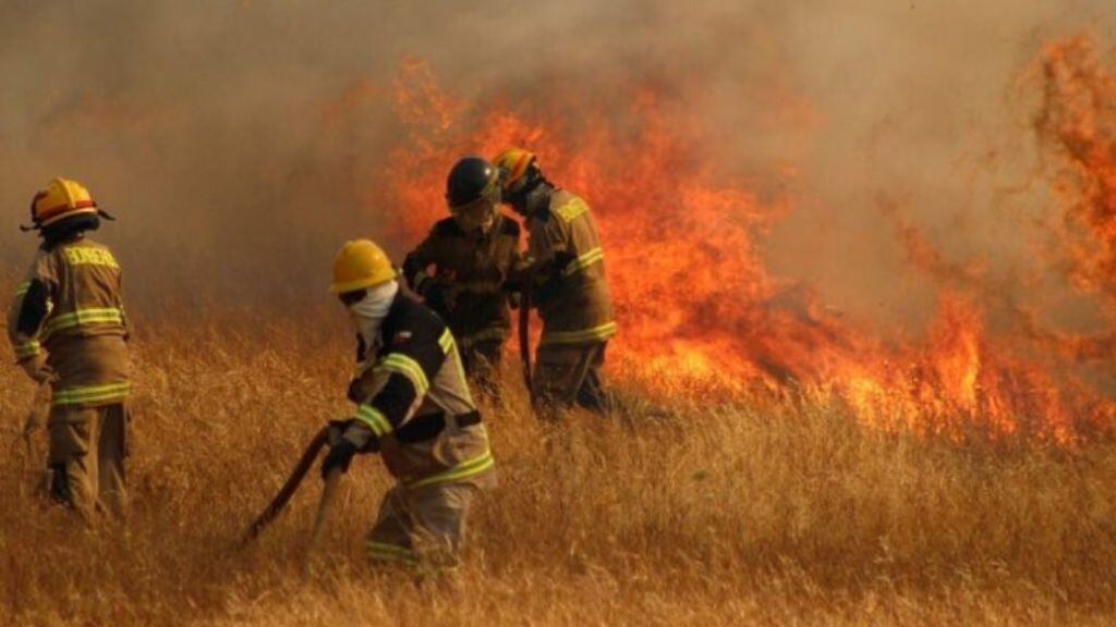 incendios forestales - coelemu