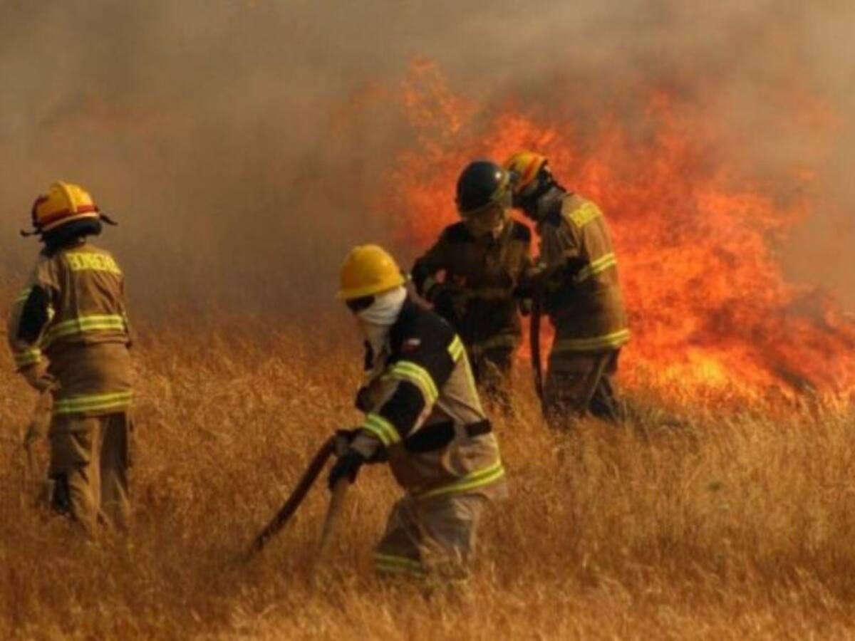 Dan arresto domiciliario nocturno a sujeto acusado de iniciar un incendio en la comuna de San Javier
