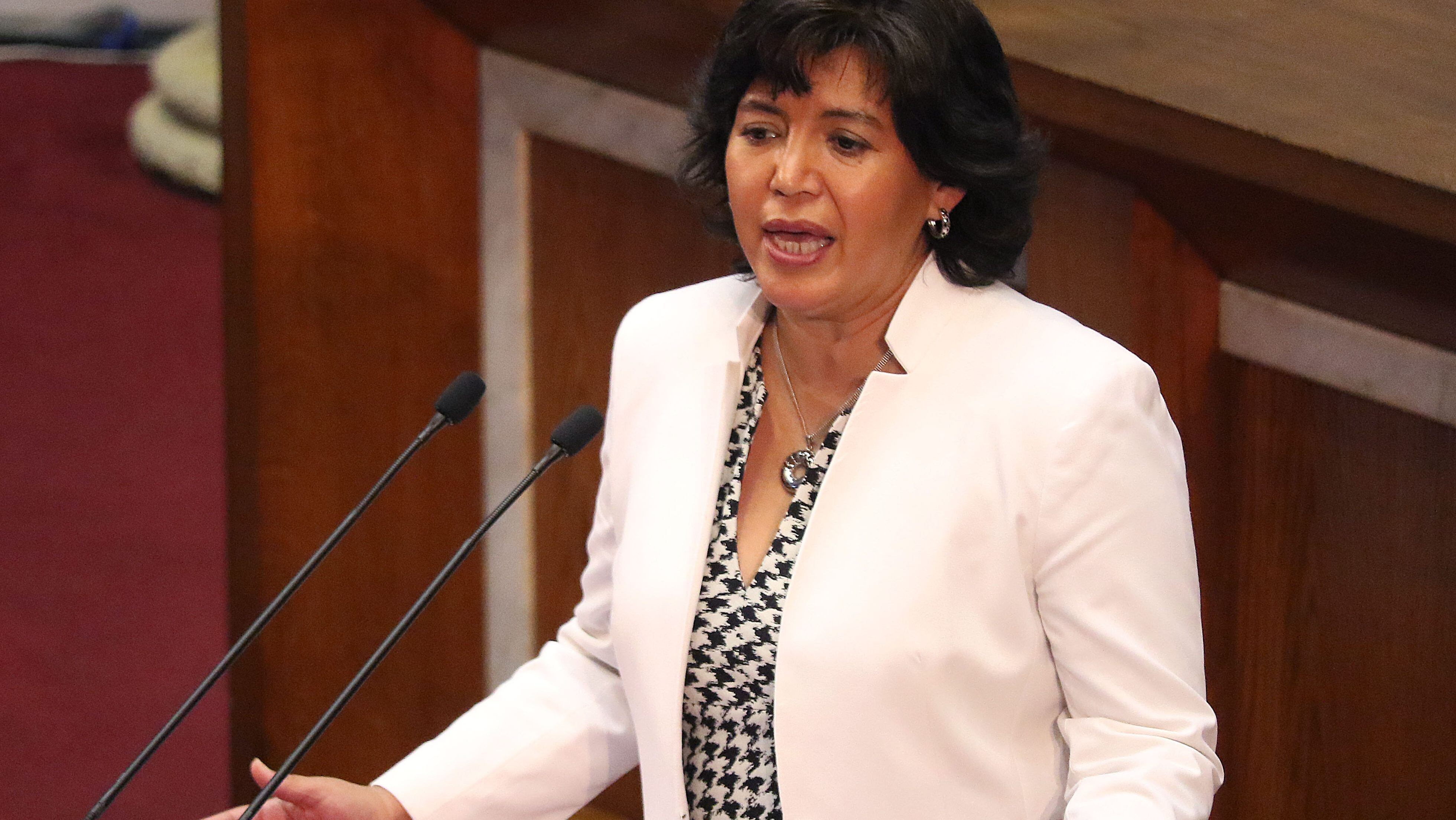 Yasna Provoste previo a lanzar su candidatura presidencial