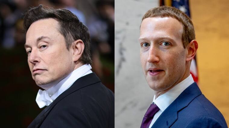 Elon Musk vs Mark Zuckerberg - pelea