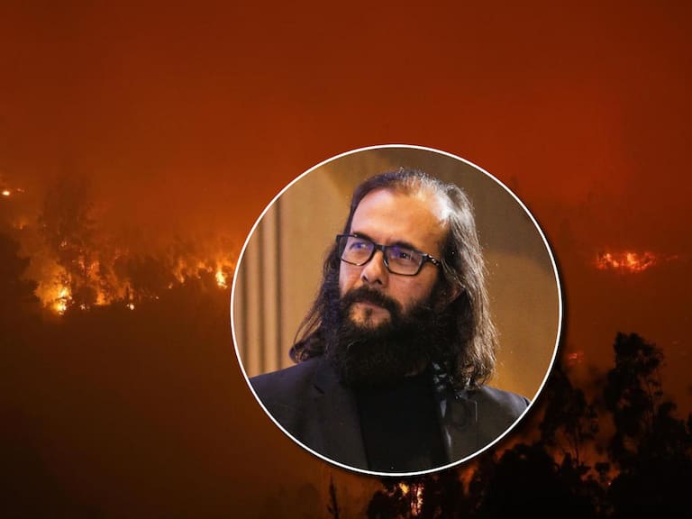 “Nadie está pensando en procesos de adaptación”: la crítica de Marcelo Lagos ante la deficiente prevención de incendios