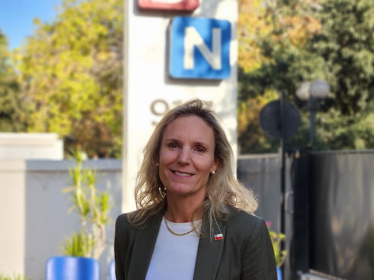 Subsecretaria de Educación explica cómo aplicará restricción a gratuidad por episodios de violencia en Chile