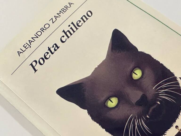 Fábula y Sebastián Lelio apuestan por llevar Poeta chileno, de Alejandro Zambra, al cine