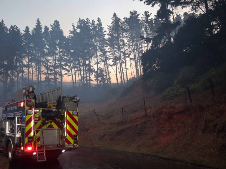 Declaran Alerta Roja para Nueva Imperial por presencia de incendio forestal