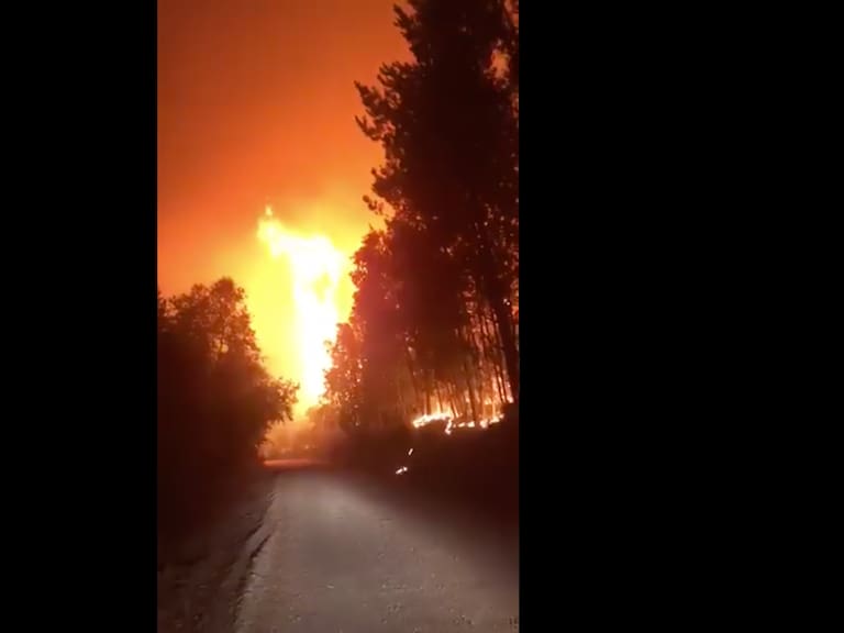 Al menos 12 viviendas fueron evacuadas en Nacimiento por incendio forestal: Onemi decretó alerta roja en la zona