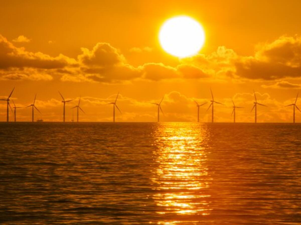 Existe un 90% de probabilidad de que entre 2021 y 2025 se registre el año más caluroso de la historia