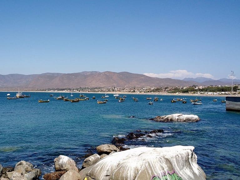 Fenómeno natural ilumina de azul playa de Guanaqueros: experto explica qué pasó