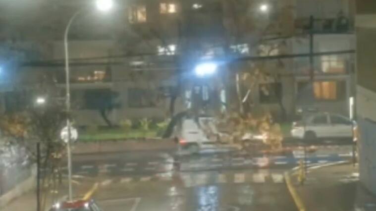 Conductor se salva por un segundo de ser aplastado por un árbol en Providencia