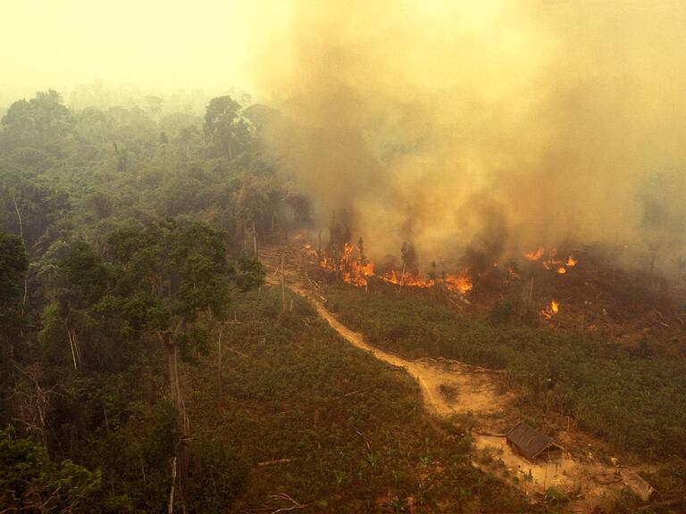 La Amazonía podría colapsar en 2050, sin posibilidad de recuperarse: el lapidario y preocupante nuevo estudio sobre el “pulmón del mundo”