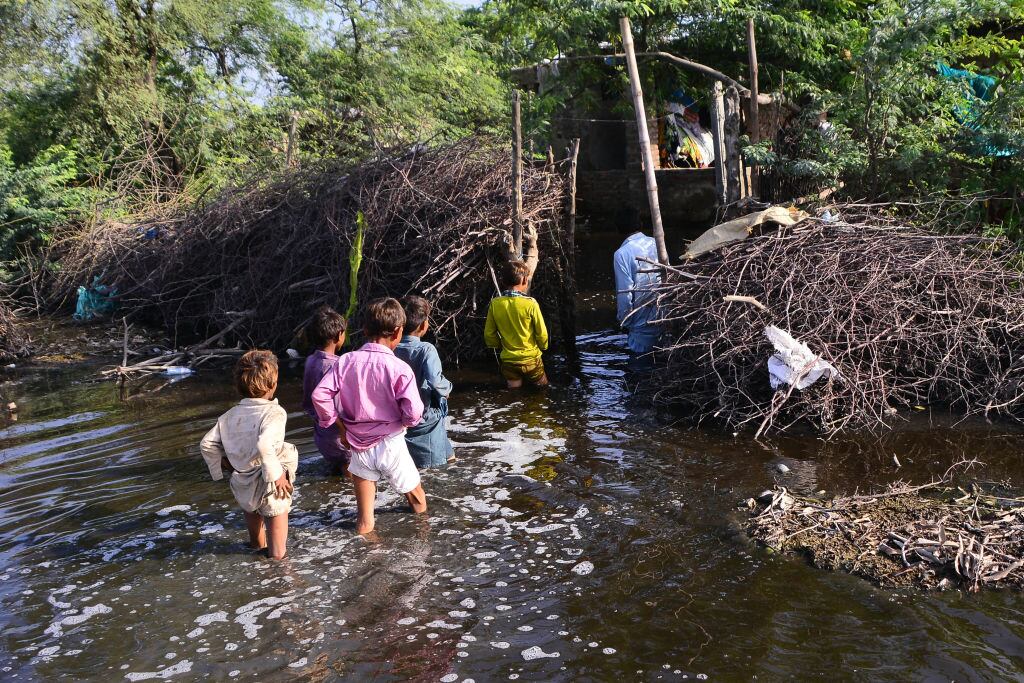 Un grupo de niños caminan en el agua en la provincia de Sindh