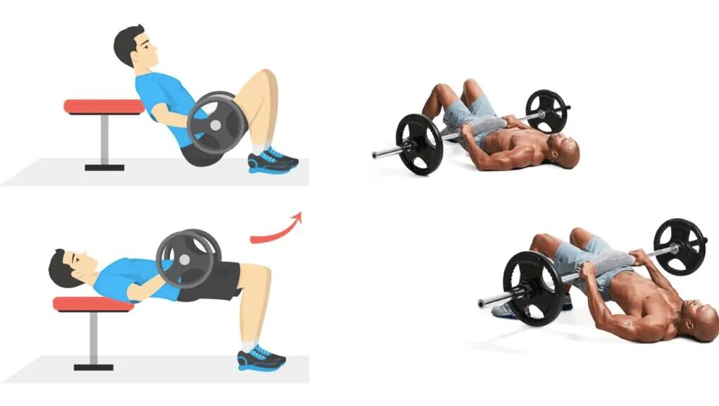 Hip Thrust variantes - Fitgeneration