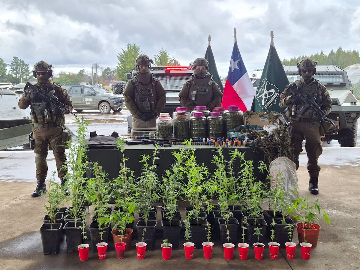 Incautan escopetas, marihuana y chalecos antibalas: Carabineros detiene a tres personas en Ercilla
